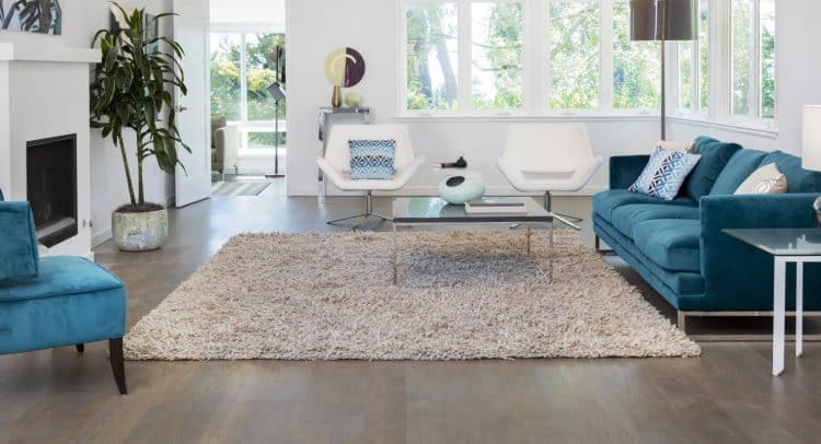 Salon moderne avec tapis moelleux et canapé bleu, entretien et propreté par Nettoyage Impérial.
