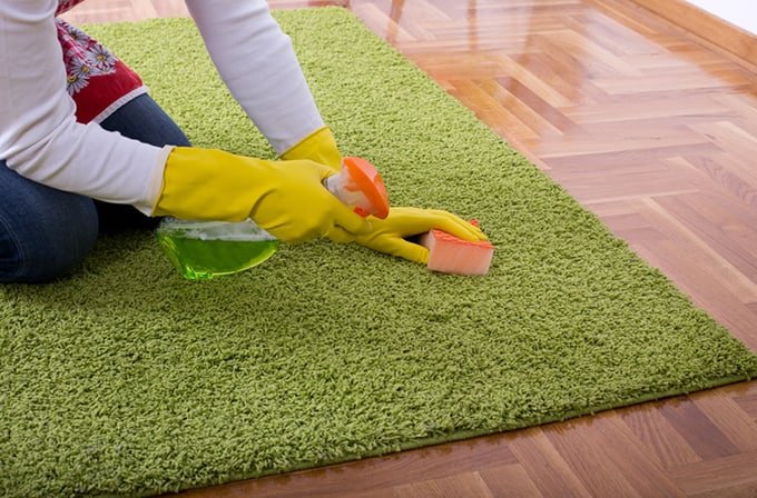How to Clean a Carpet or a Rug?