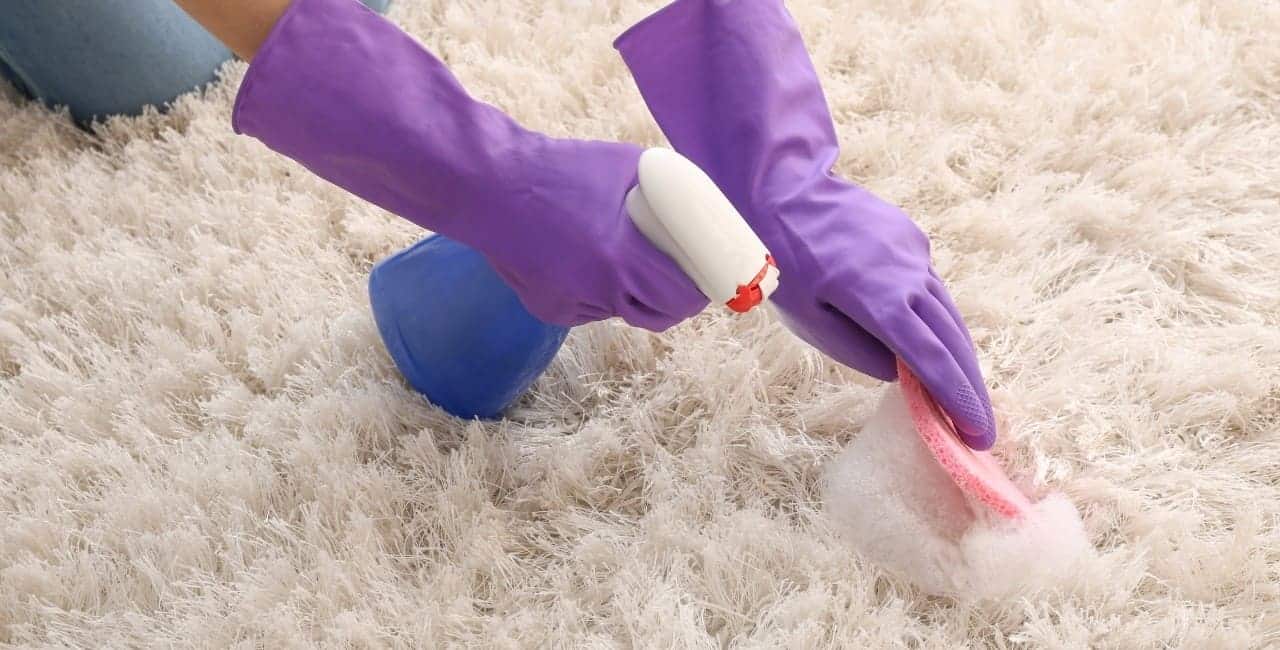 Est-ce que la désinfection est importante lors de nettoyage de tapis ?