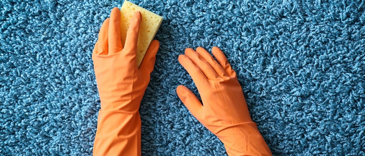 Est-il important de faire nettoyer mes tapis ?