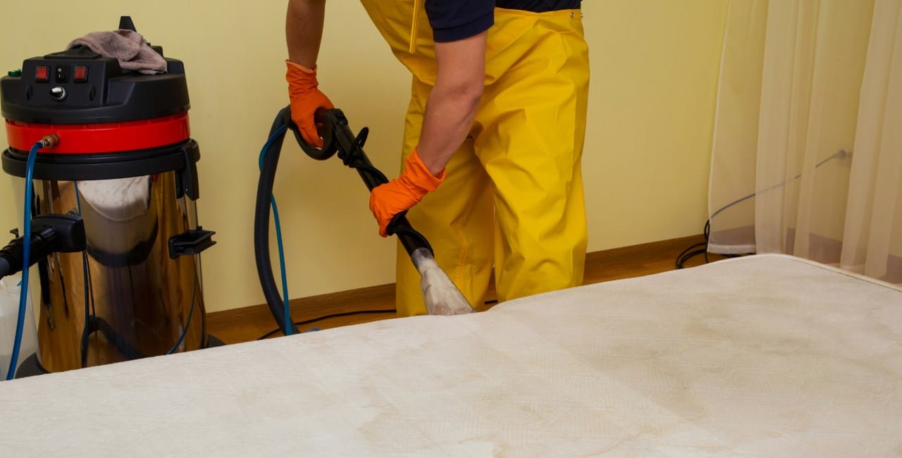 Importance of professional mattress cleaning